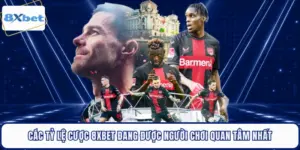 Các Tỷ Lệ Cược 8XBET Đang Được Người Chơi Quan Tâm Nhất