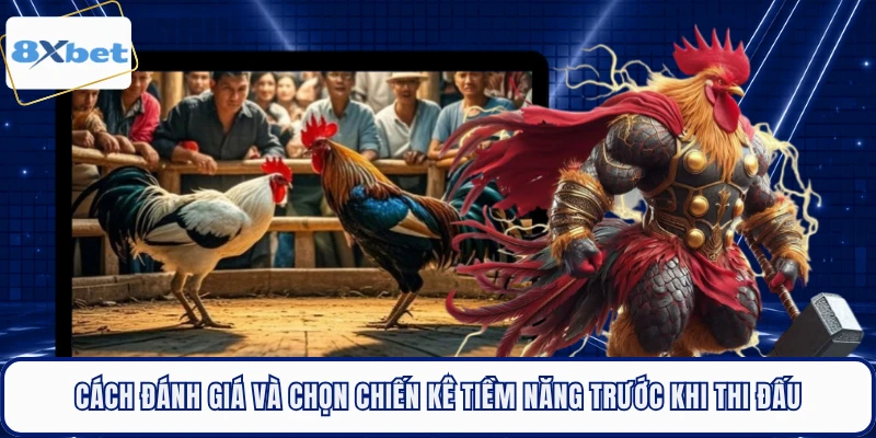 Cách đánh giá và chọn chiến kê tiềm năng trước khi thi đấu 