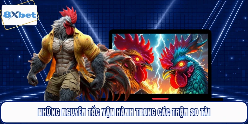 Những nguyên tắc vận hành trong các trận so tài 