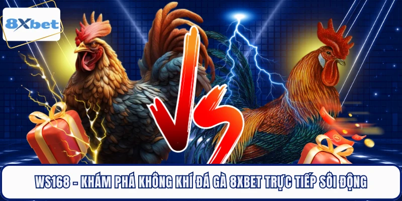 WS168 - Khám Phá Không Khí Đá Gà 8XBET Trực Tiếp Sôi Động